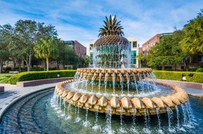 Best Parks In And Around Charleston, SC