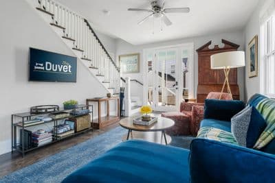 The Little Aster Suite