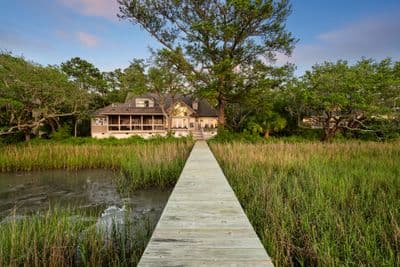 The Marsh Raven